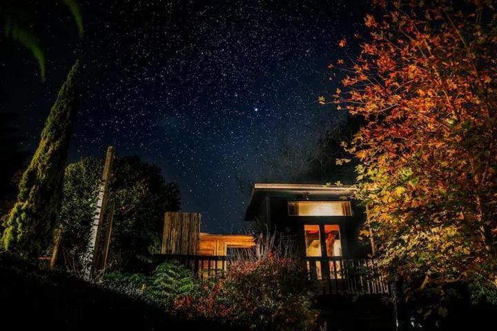 Starry Nights Cabin Fever Waikino Exteriör bild