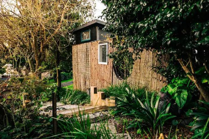 Starry Nights Cabin Fever Waikino Exteriör bild